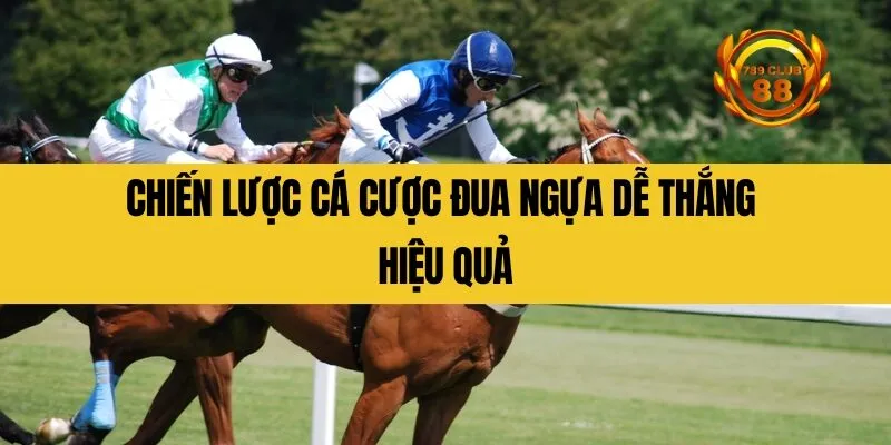 Chiến lược cá cược đua ngựa dễ thắng hiệu quả